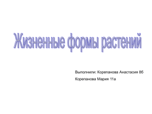 Выполнили: Корепанова Анастасия 8б Корепанова Мария 11а