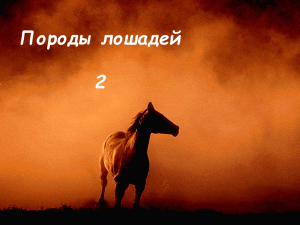 Horses Breeds 2 - Породы Лошадей 2
