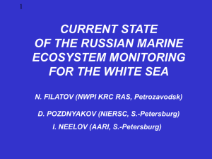 Показано, что для моделирования экосистемы Белого моря