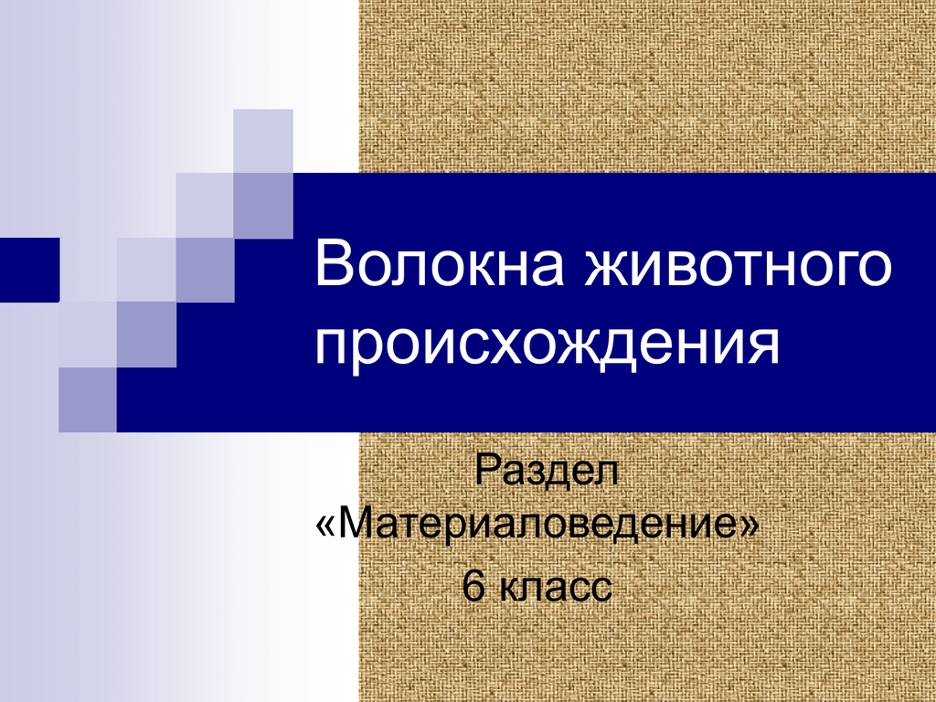 Волокна животного происхождения относятся к волокнам. Материаловедение волокна животного происхождения. Волокна животного происхождения. Натуральные волокна животного происхождения 6 класс технология. Волокна животного.