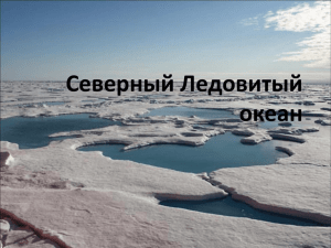 Северный Ледовитый океан Подготовили Евдокименко Анна