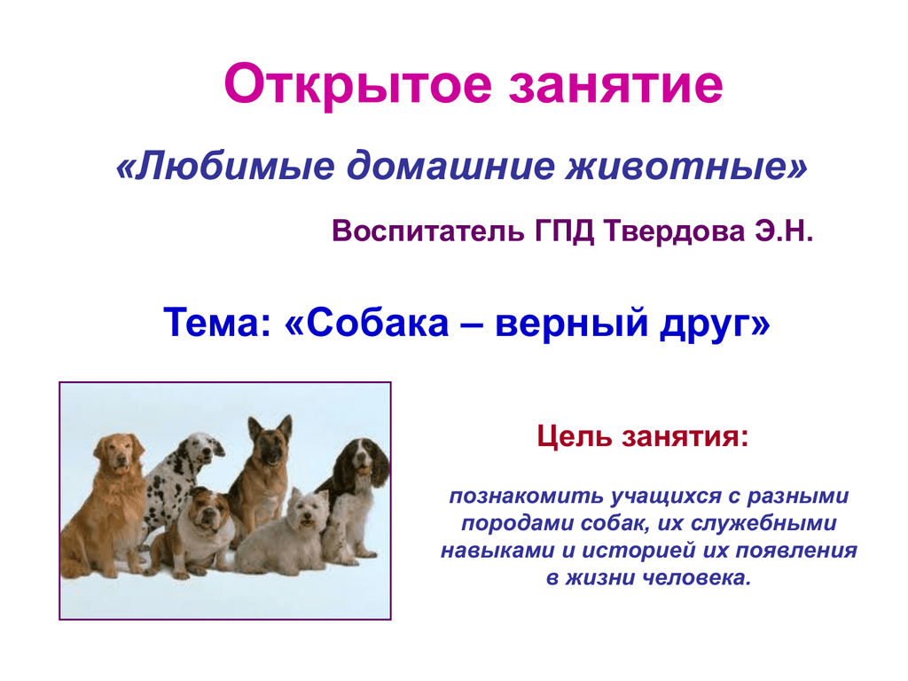 Тема верный. Открытый урок на тему домашние животные. Презентация домашние животные собака. Презентация домашнее животное собака. Занятие на тему собака друг человека.