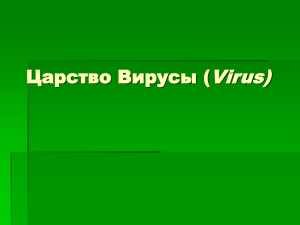 Царство Вирусы (Virus)