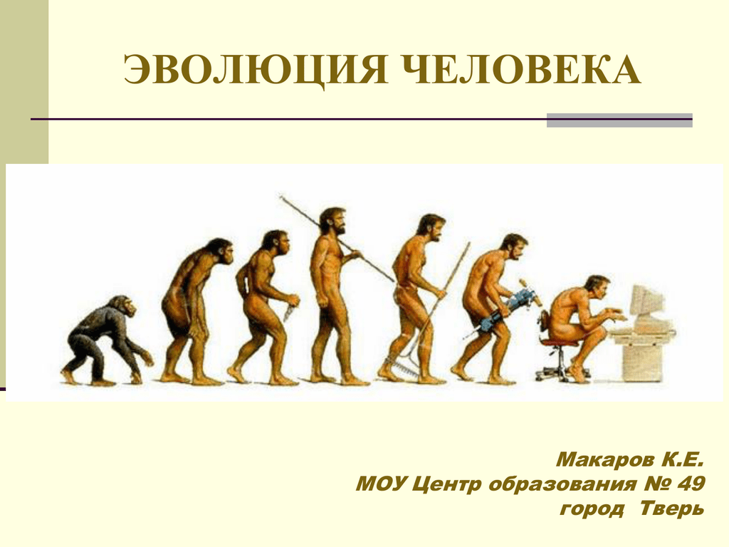Тест по теме развитие человека. Эволюция человека. Процесс эволюции человека. Этапы эволюции человека. Развитие человека этапы эволюции.