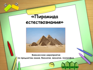 игра пирамида естествознания