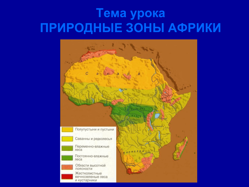 Крупные природные зоны африки. Природные зоны Африки 7 класс география карта. Природные зоны Африки 4 класс. Географическое положение природных зон Африки. Природные зоны Африки Домогацких.