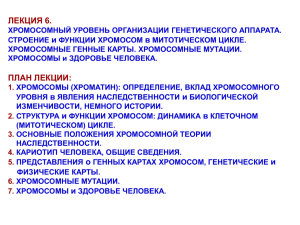 Хромосомный уровень организации генетического аппарата