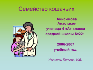 sc.221._Анисимова Анастасия (презентация)