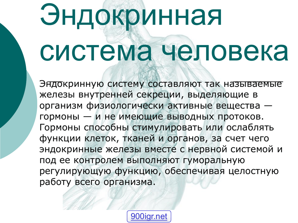 Презентация эндокринная система человека строение и функции