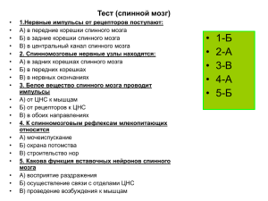 • 1-Б Тест (спинной мозг)