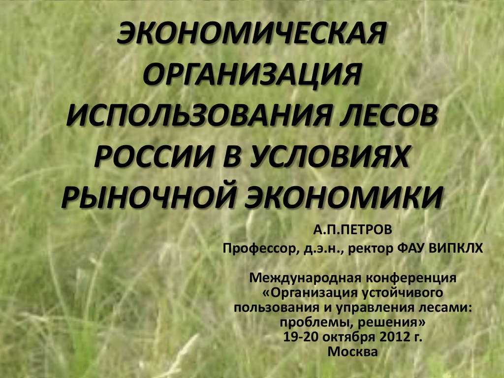 Организация использования лесов. Организация лесопользования. Устойчивого управления лесами России. Устойчивое лесопользование.