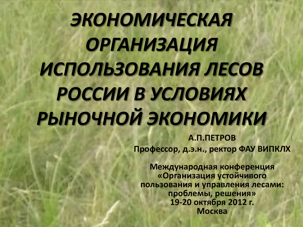 Организация лесопользования. Организация использования лесов. Устойчивого управления лесами России. Устойчивое лесопользование.