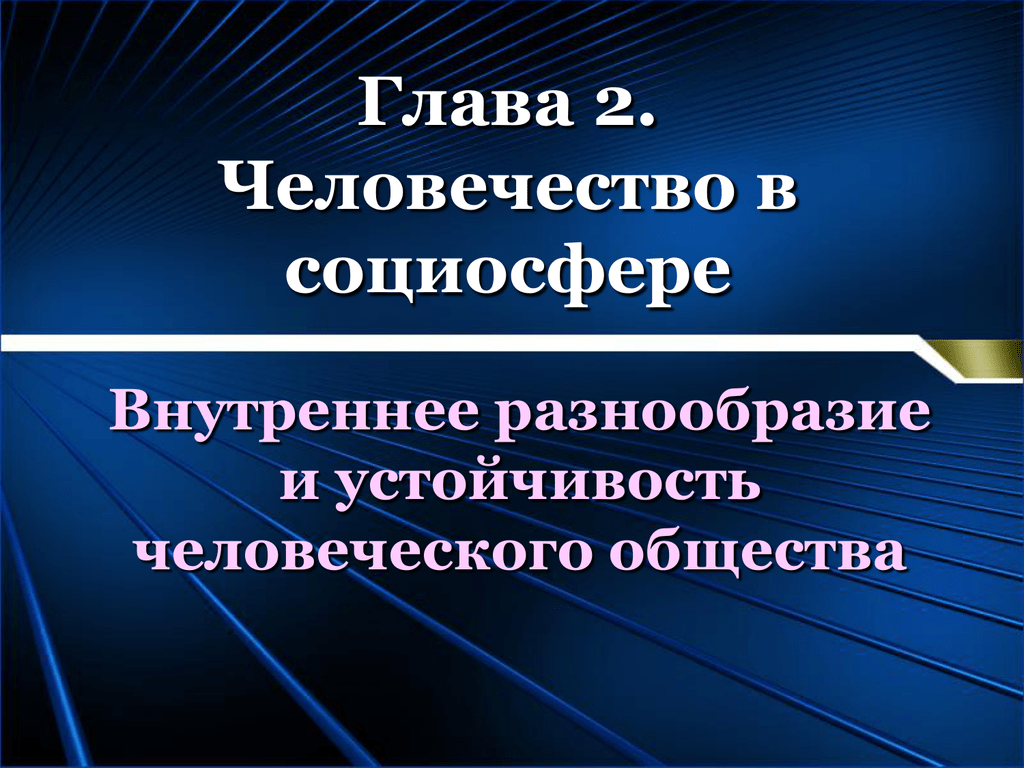 Второй человечество. Внутреннее разнообразие общества. Внутреннее разнообразие человеческого общества. Социосфера презентация. Условие устойчивости человеческого общества.