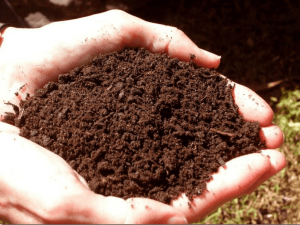 Почва: состав и свойства почвы.