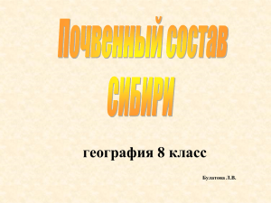 Почвенный состав Сибири