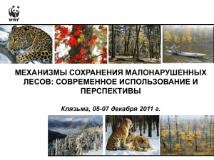 Смирнов Д. Механизмы сохранения малонарушенных лесов