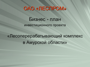 ОАО «ЛЕСПРОМ» Бизнес - план «Лесоперерабатывающий комплекс в Амурской области»