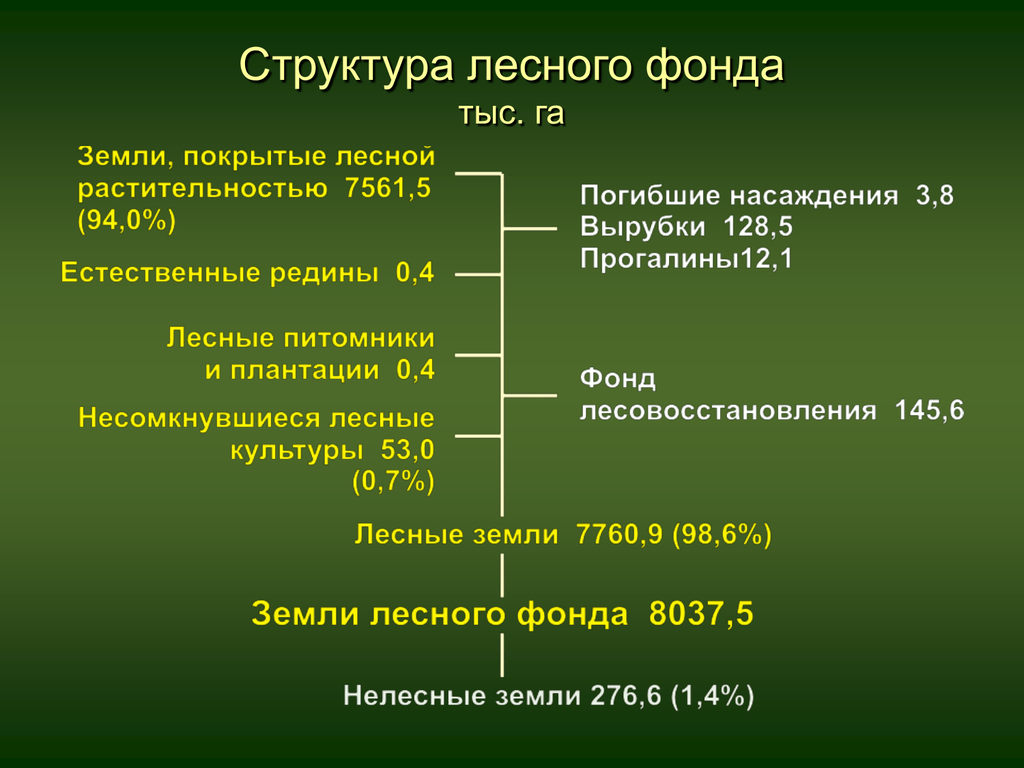 Структура лесного фонда. Структура земель лесного фонда.