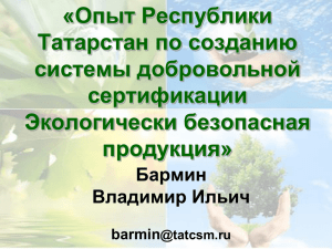 Опыт Республики Татарстан по созданию системы