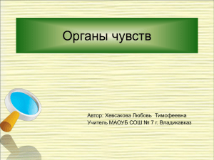 Органы чувств Автор: Хевсакова Любовь  Тимофеевна