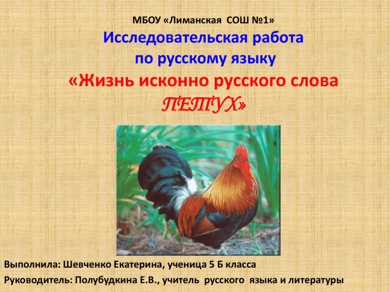 Предложение со словом петух