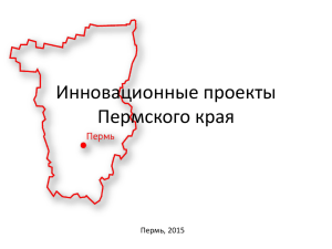 Инвестиционные проекты Пермского края 2013