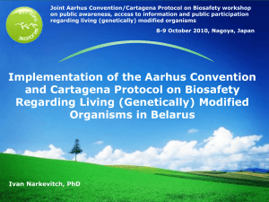 Implementation of the Aarhus Convention and Cartagena