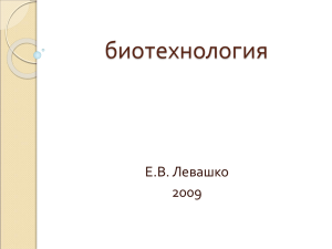 биотехнология Е.В. Левашко 2009