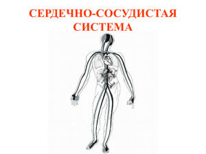 Л12 Сердечно-сосудистая система