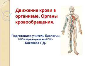 Движение крови в организме. Органы кровообращения.