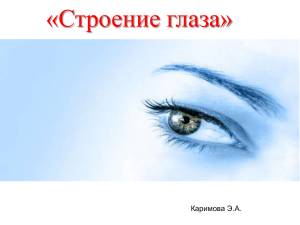 «Строение глаза» Каримова Э.А.