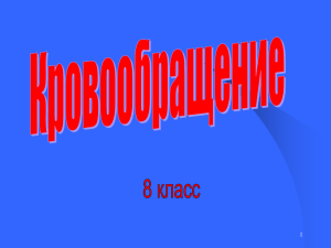 большого круга кровообращения?