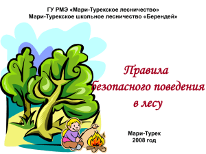 Правила безопасного поведения в лесу ГУ РМЭ «Мари-Турекское лесничество»