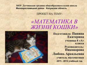 Математика в жизни кошки