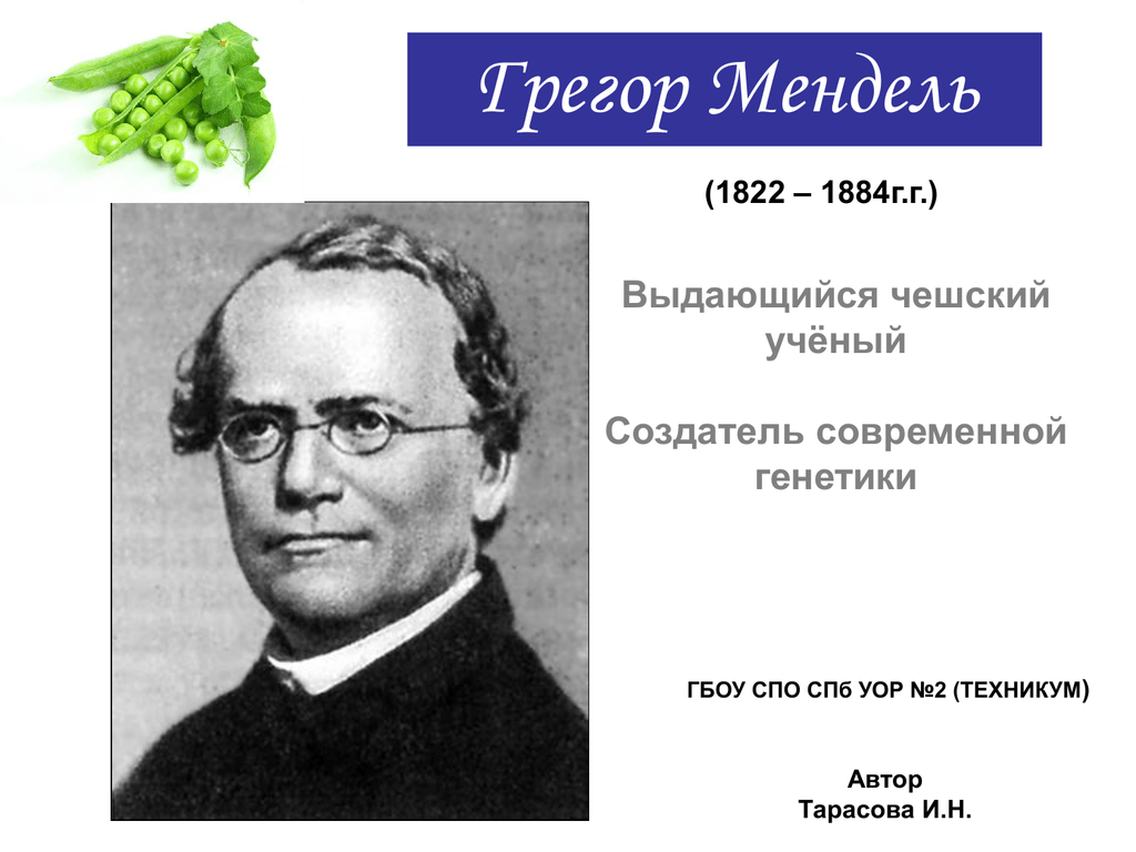 Создатель генетики. Грегор Иоганн Мендель(1822 – 1884). Грегор Мендель (1822 - 1884г.г.). Мендель ученый. Мендель ученый биолог.