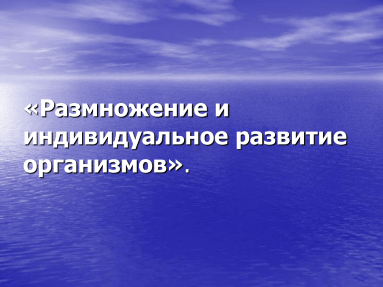 Индивидуальное размножение организма. Размножение и индивидуальное развитие организмов.