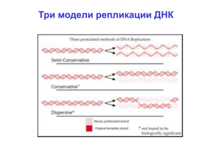 Структура и функции биополимеров (ДНК, РНК, белки)
