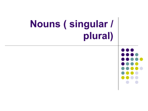 Nouns ( singular / plural)