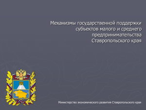 Механизмы государственной поддержки субъектов малого и среднего предпринимательства Ставропольского края