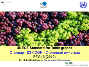 UNECE Standard for Table grapes FFV-19 (2010) Dr. Ulrike Bickelmann