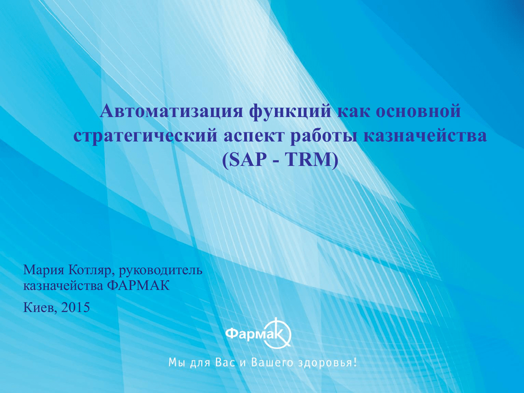 Казначей вакансии новосибирск. Функции автоматизации. Автоматизирование казначейства.