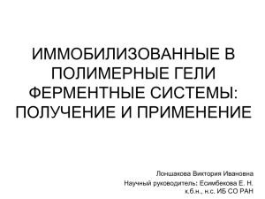 отчетНИСеминар_БФ_Ф_Тема1_Лоншакова (1.6Mб, ppt)