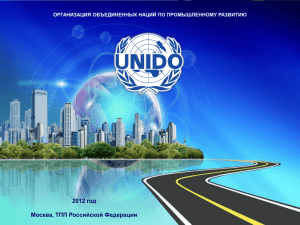 Презентация UNIDO "Создание региональной системы
