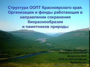 Структура ООПТ Красноярского края. Организации и фонды