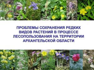 Проблемы созранения редких видов растений в процессе