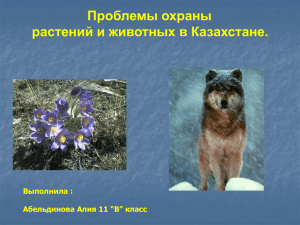 Проблемы охраны растений и животных в Казахстане. Выполнила :