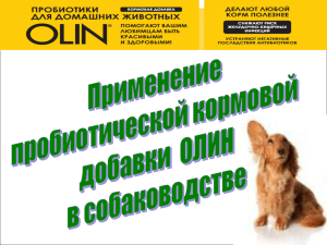 применение ОЛИН в собаководстве