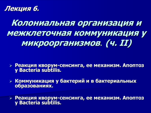 Колониальная организация и межклеточная коммуникация у микроорганизмов (ч. II)