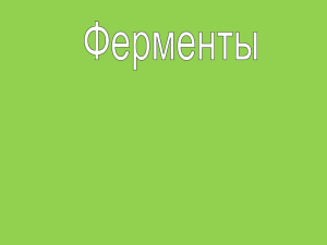 Ферменты - WordPress.com