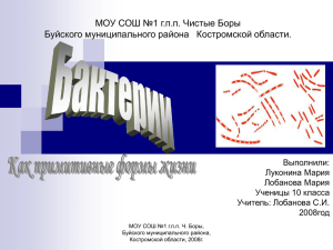 Проект_Бактерии - Образование Костромской области